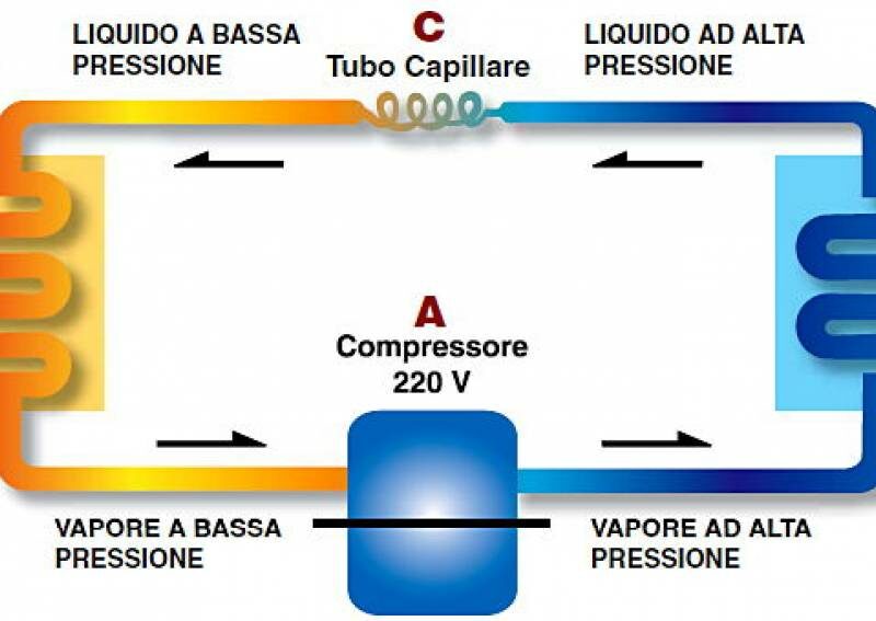 ciclo-1